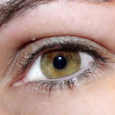 Hipercholesterolemia rodzinna