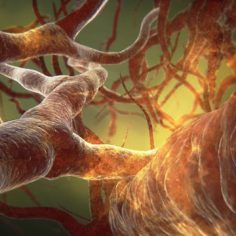 Podwyższony poziom amoniaku we krwi - HIPERAMONEMIA