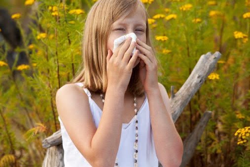 alergia na roztocza