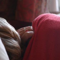 Candida albicans drożdżak
