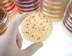 Martwicze zapalenie powięzi