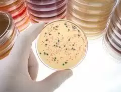 Martwicze zapalenie powięzi