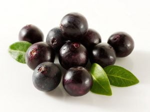 jagody acai