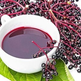 układ odpornościowy, sok z bzu