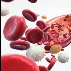 anemia koktajl