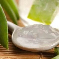 aloes żel z aloesu