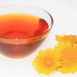 syrop mniszek lekarski