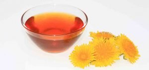 syrop mniszek lekarski