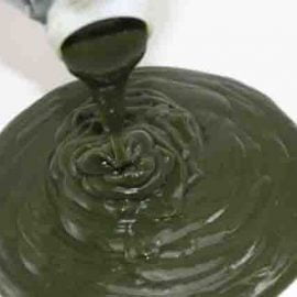 Omułek zielonowargi