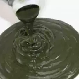 Omułek zielonowargi