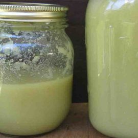 tybetańska nalewka czosnkowa