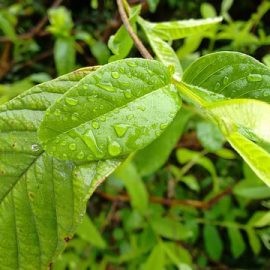 Jak skutecznie powstrzymać wypadanie włosów