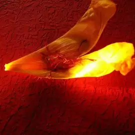 szafran