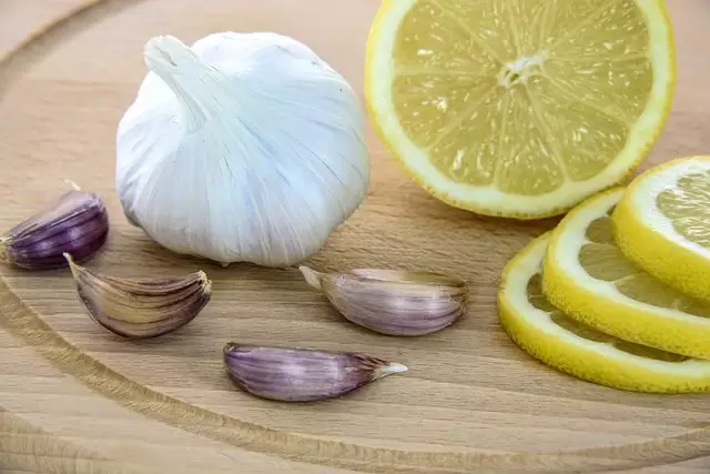 naturalne antybiotyki