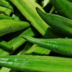 okra