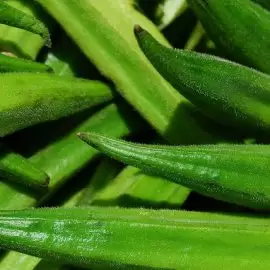 okra