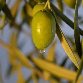 przebarwienia na szyi