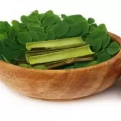Moringa olejodajna