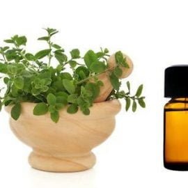 olejek z oregano