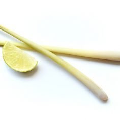 Trawa cytrynowa