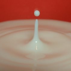 kefir