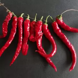 jak usunąć nagromadzone toksyny