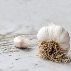 czosnek