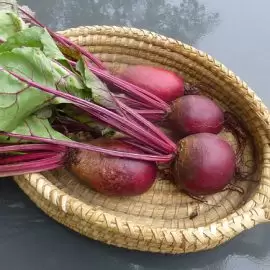 profilaktyka miażdżycy