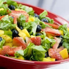 dieta portfolio