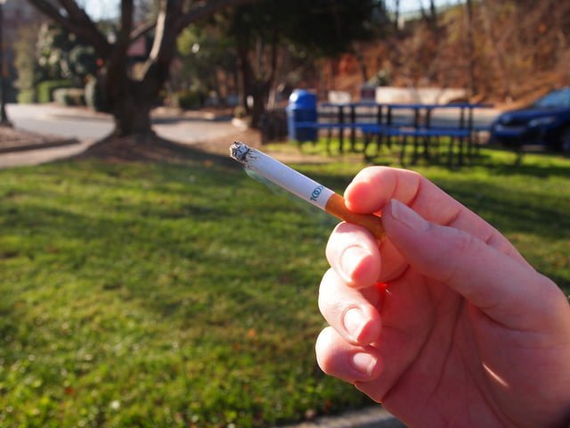 działanie nikotyny
