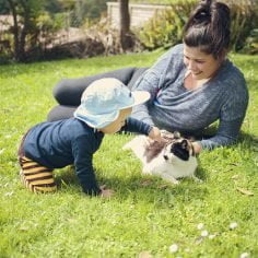 Ochrona przed upałem