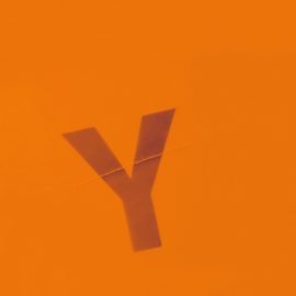 chromosom pierścieniowy 13