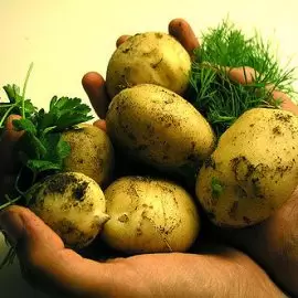 dieta ziemniaczana