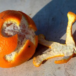 Inwersja pericentryczna chromosomu 9