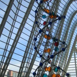 zespół Toriello-Careya