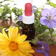 homeopatia