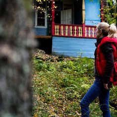 antybiogram