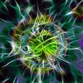 Ziarniniakowatość Wegenera