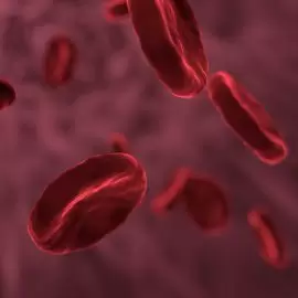 Niedokrwistość hemolityczna