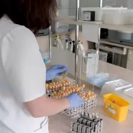 trójglicerydy