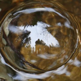 Zapalenie pęcherza moczowego