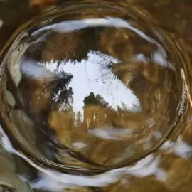 Zapalenie pęcherza moczowego