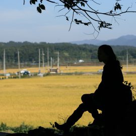 Uchyłki jelita grubego