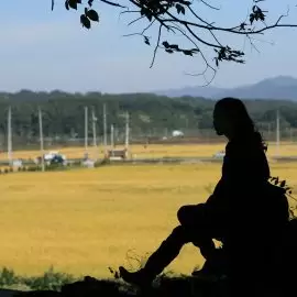 Uchyłki jelita grubego