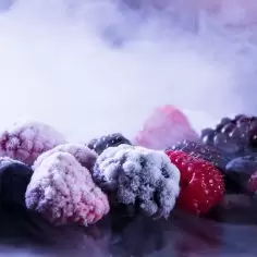Bakterie