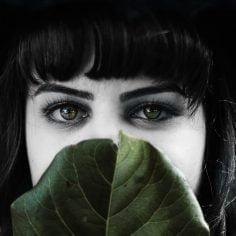 Choroba przeszczep przeciwko gospodarzowi