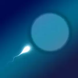 Inseminacja