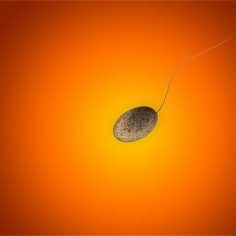 Jak zwiększyć ruchliwość plemników