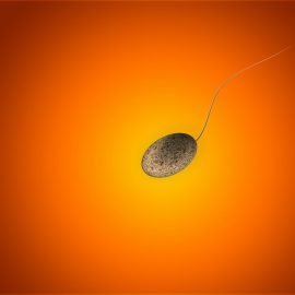 Jak zwiększyć ruchliwość plemników