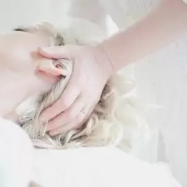 Syllogomania
